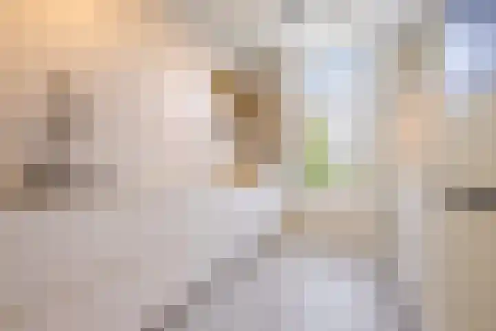 Obrechtstraat 29 Utrecht thumbnail 21