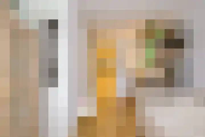 Obrechtstraat 29 Utrecht thumbnail 28