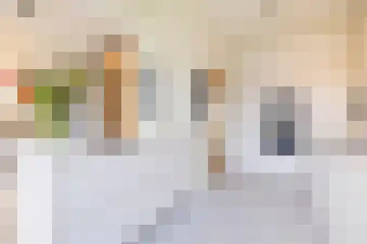 Obrechtstraat 29 Utrecht thumbnail 4