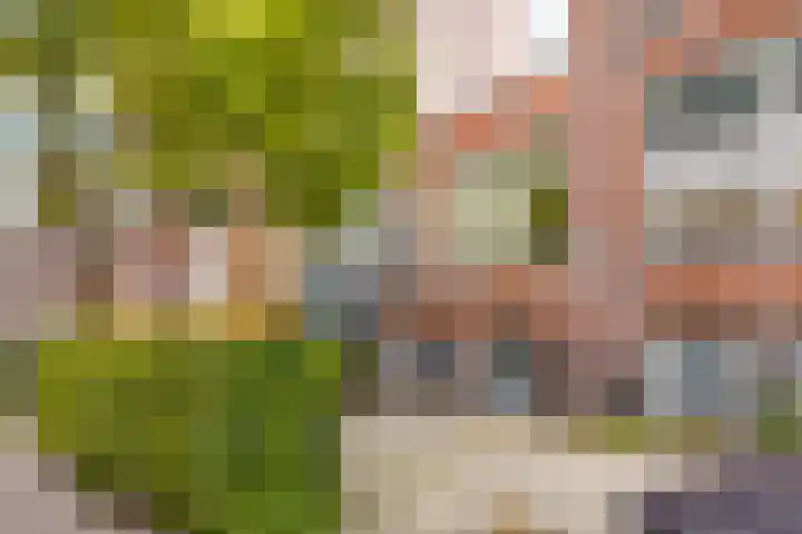 Obrechtstraat 29 Utrecht thumbnail 41
