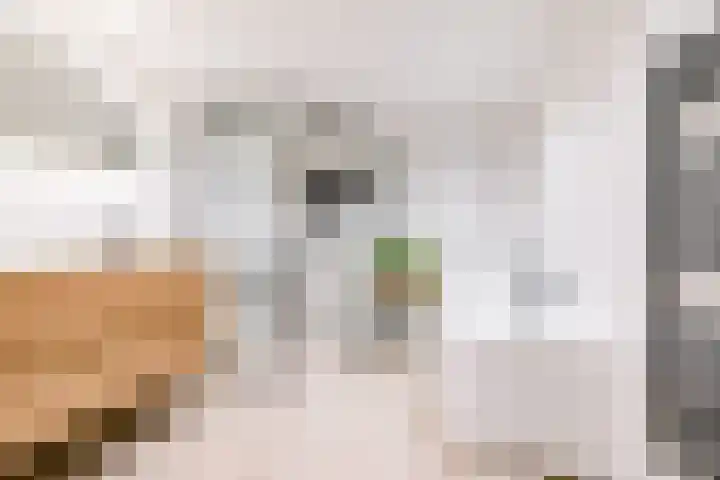 Obrechtstraat 29 Utrecht thumbnail 5