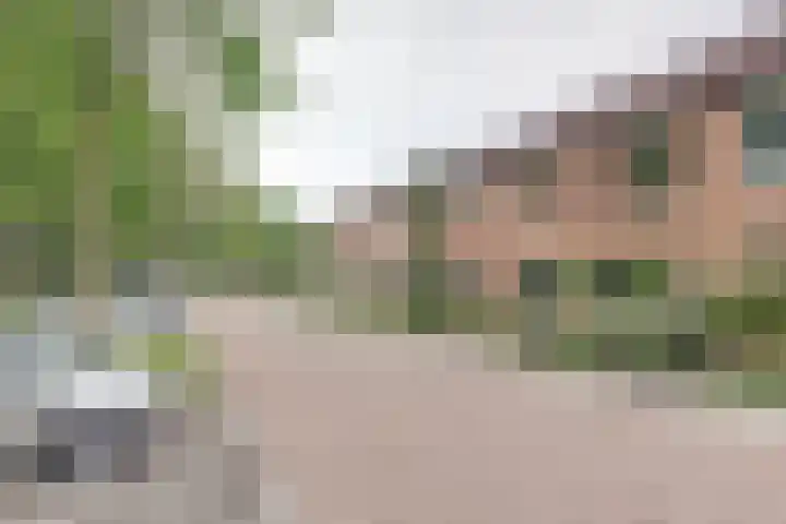 Obrechtstraat 29 Zwijndrecht thumbnail 31