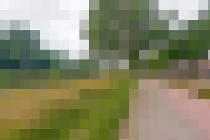 Obrechtstraat 29 Zwijndrecht thumbnail 35
