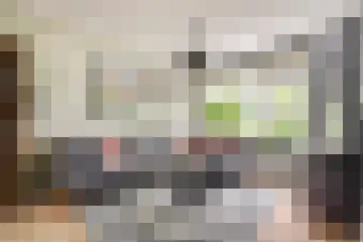 Obrechtstraat 29 Zwijndrecht thumbnail 6