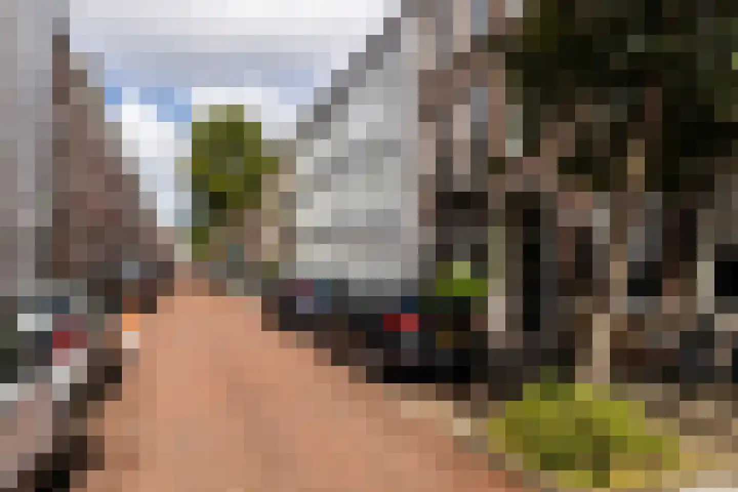 Obrechtstraat 295 Den Haag thumbnail 42