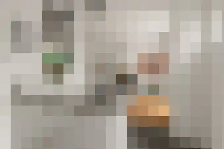 Obrechtstraat 3 Utrecht thumbnail 22