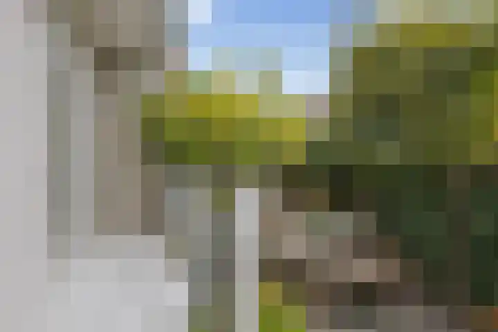 Obrechtstraat 3 Utrecht thumbnail 26