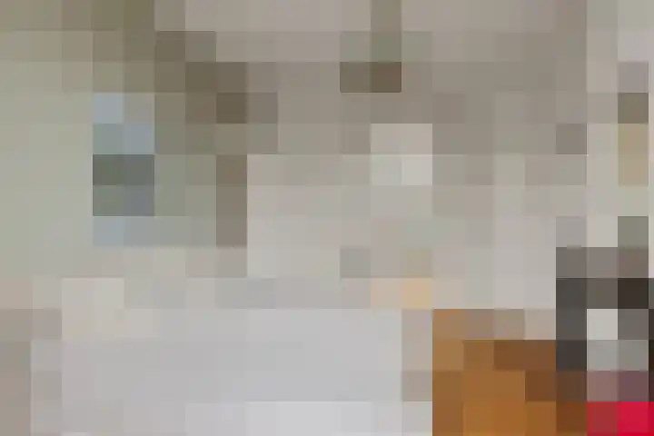 Obrechtstraat 3 Utrecht thumbnail 31