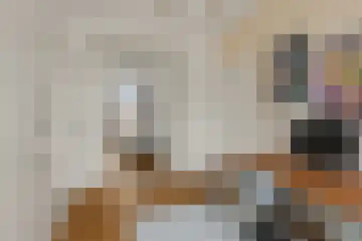 Obrechtstraat 3 Utrecht thumbnail 37