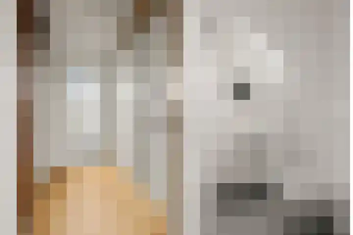 Obrechtstraat 3 Utrecht thumbnail 46