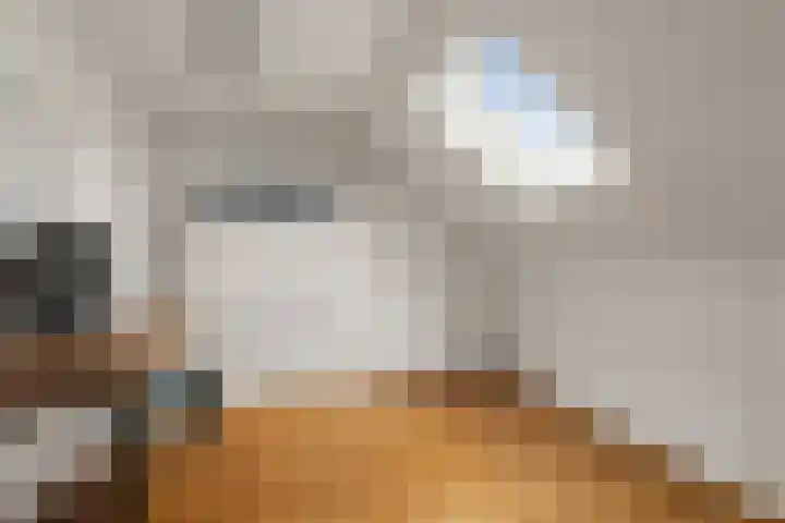 Obrechtstraat 3 Utrecht thumbnail 48