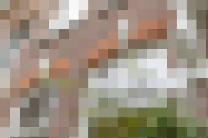 Obrechtstraat 3 Utrecht thumbnail 62