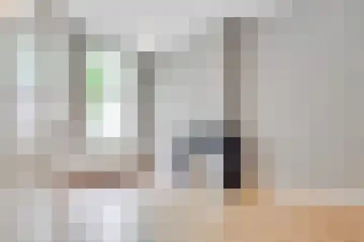 Obrechtstraat 30 Utrecht thumbnail 4