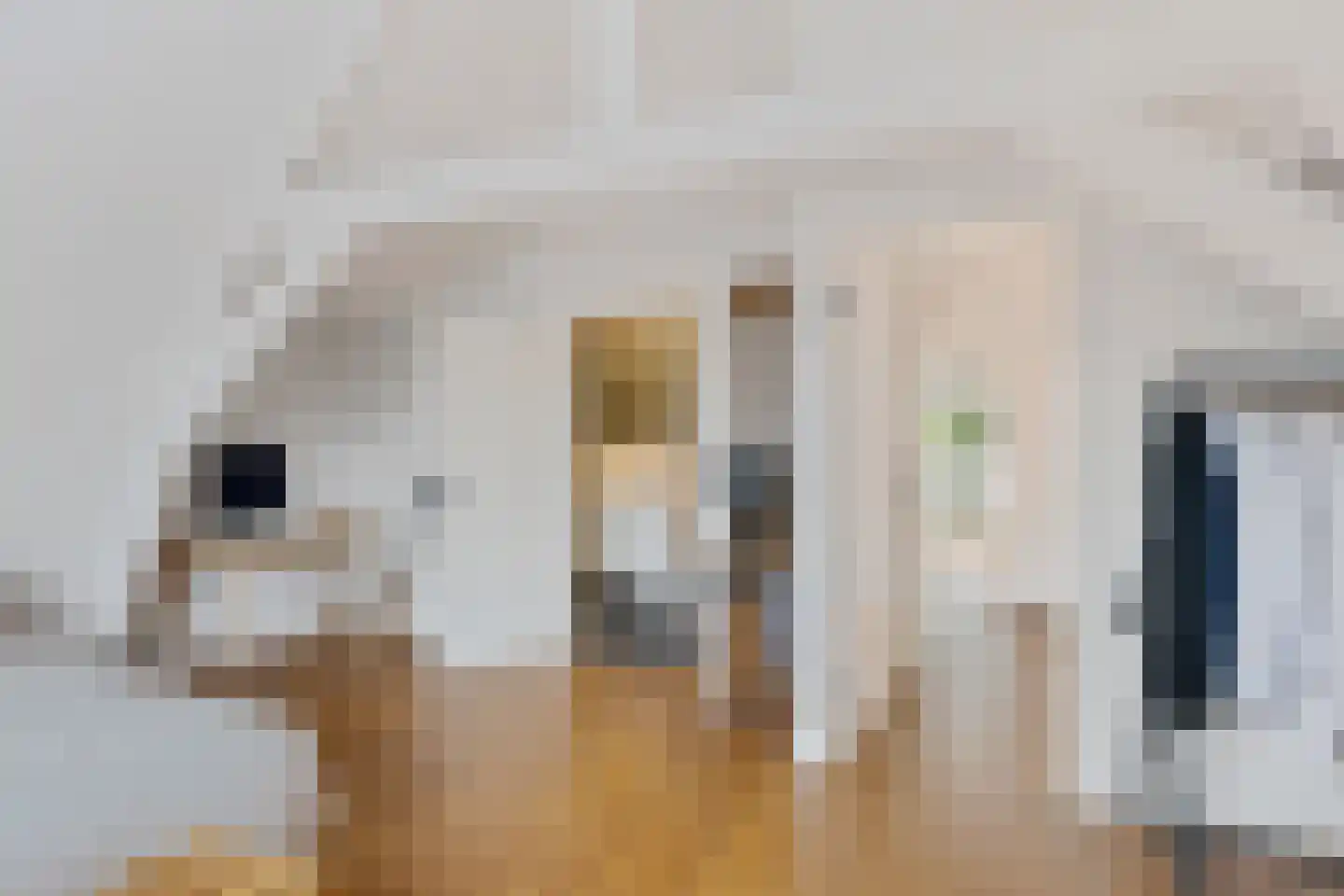 Obrechtstraat 300 Den Haag thumbnail 31