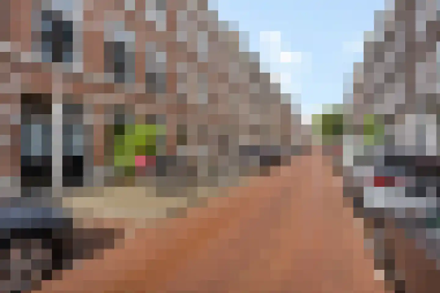Obrechtstraat 300 Den Haag thumbnail 41