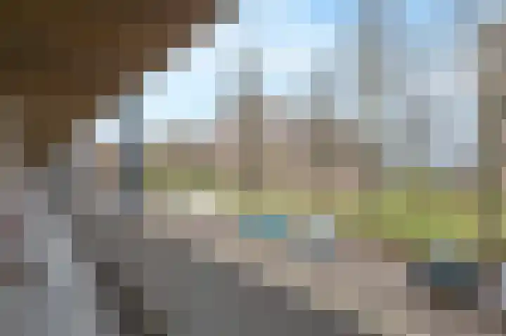 Obrechtstraat 333 Zwolle thumbnail 33