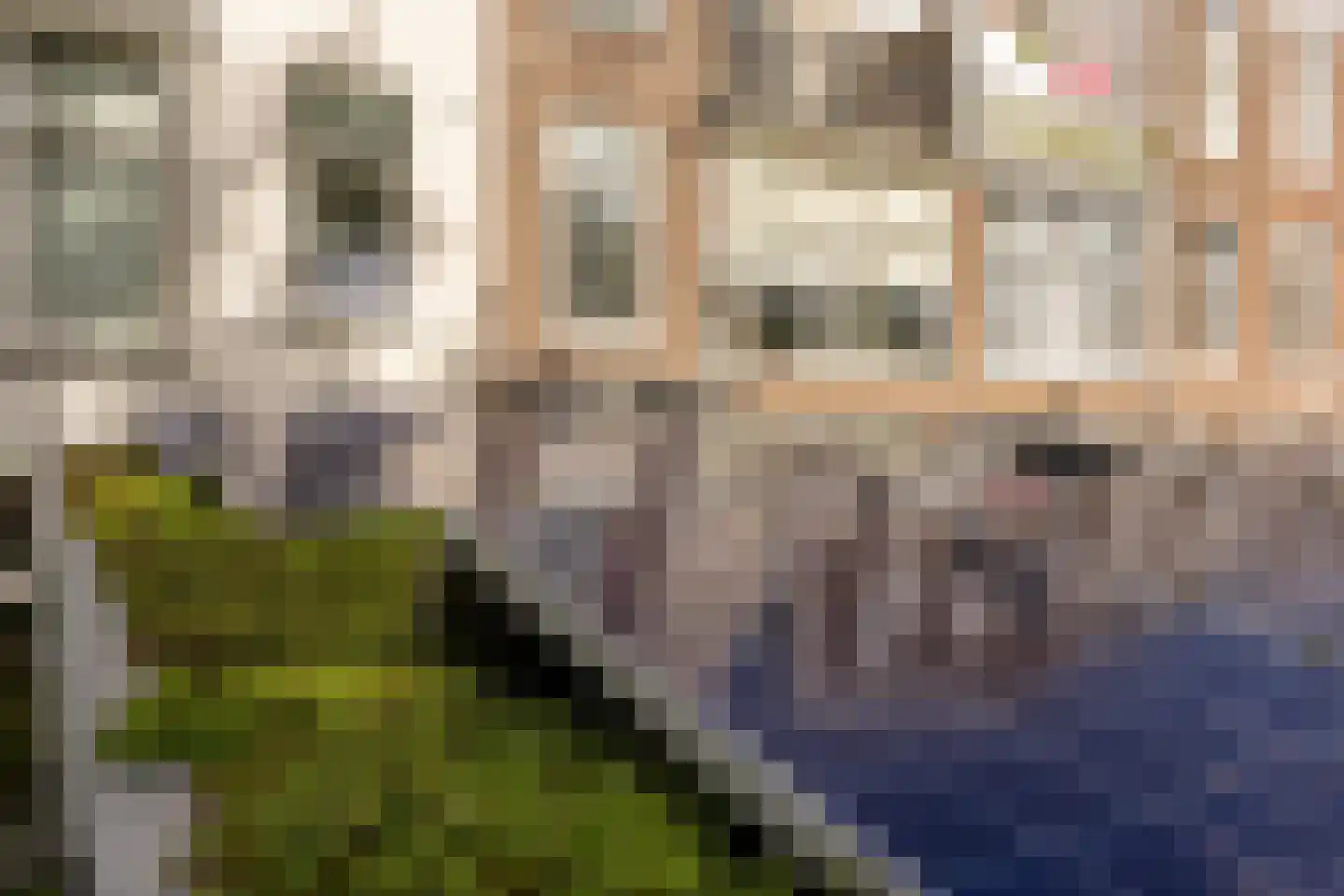 Obrechtstraat 344 Den Haag thumbnail 25