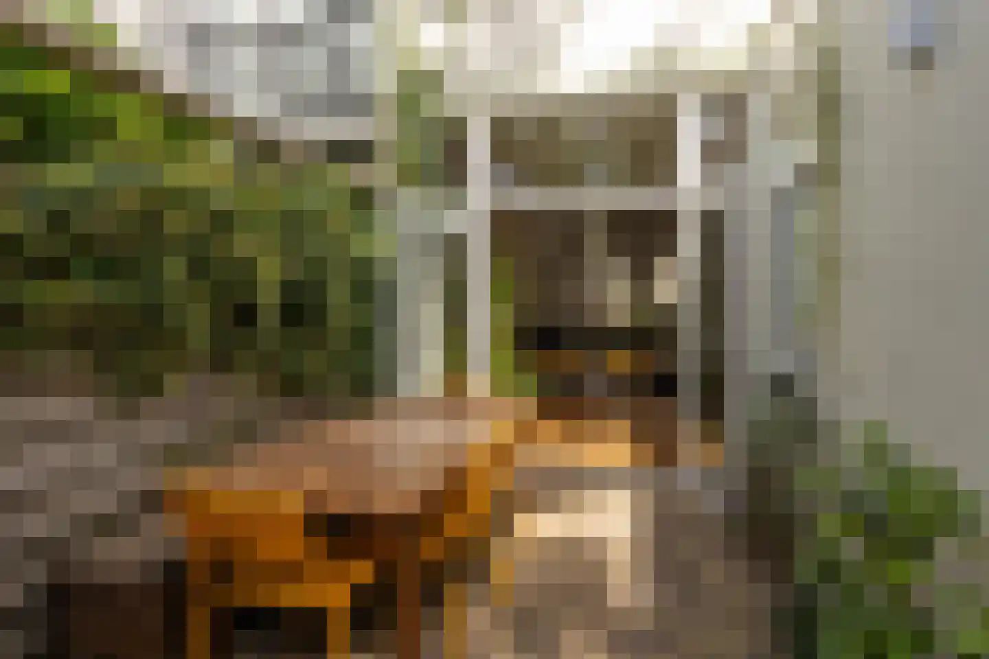 Obrechtstraat 344 Den Haag thumbnail 27