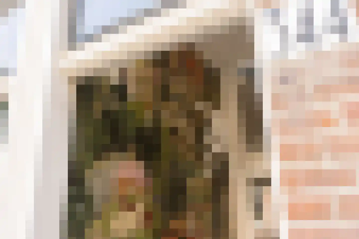 Obrechtstraat 344 Den Haag thumbnail 7