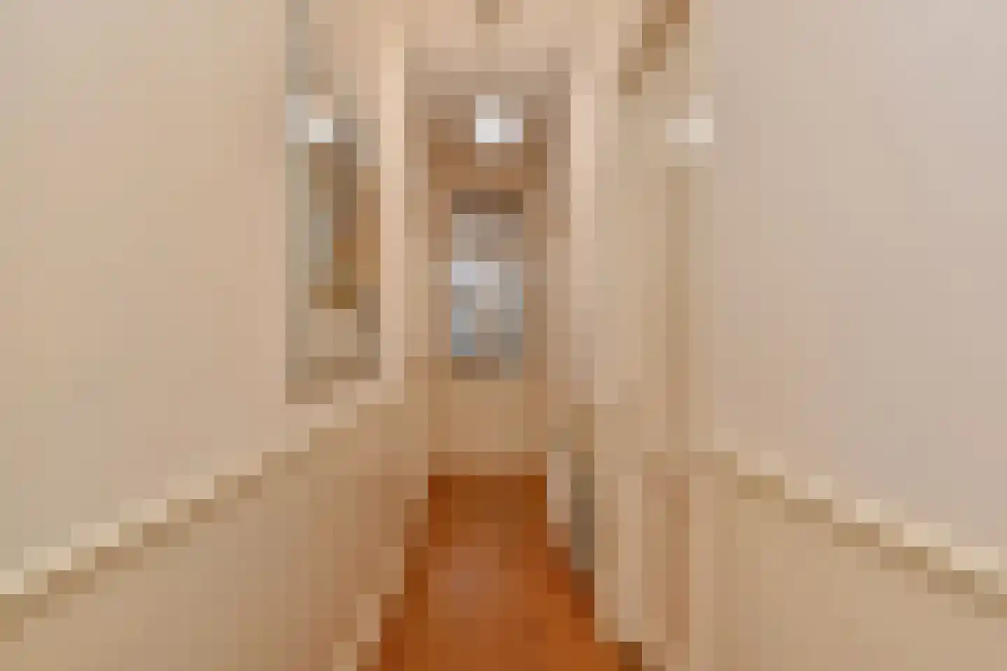 Obrechtstraat 345 Den Haag thumbnail 15