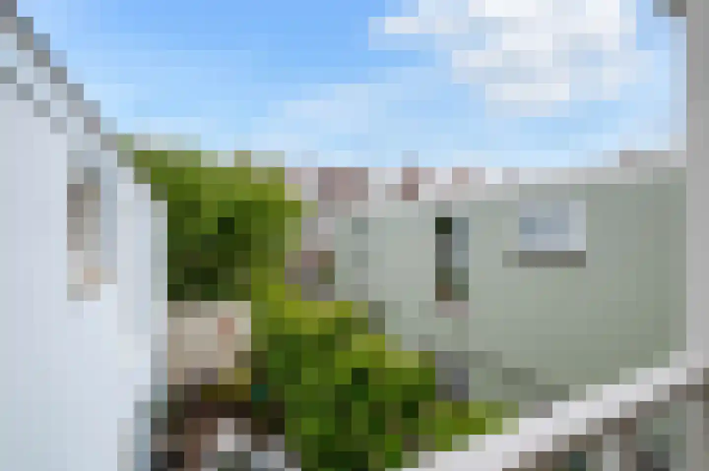 Obrechtstraat 347 Den Haag thumbnail 12