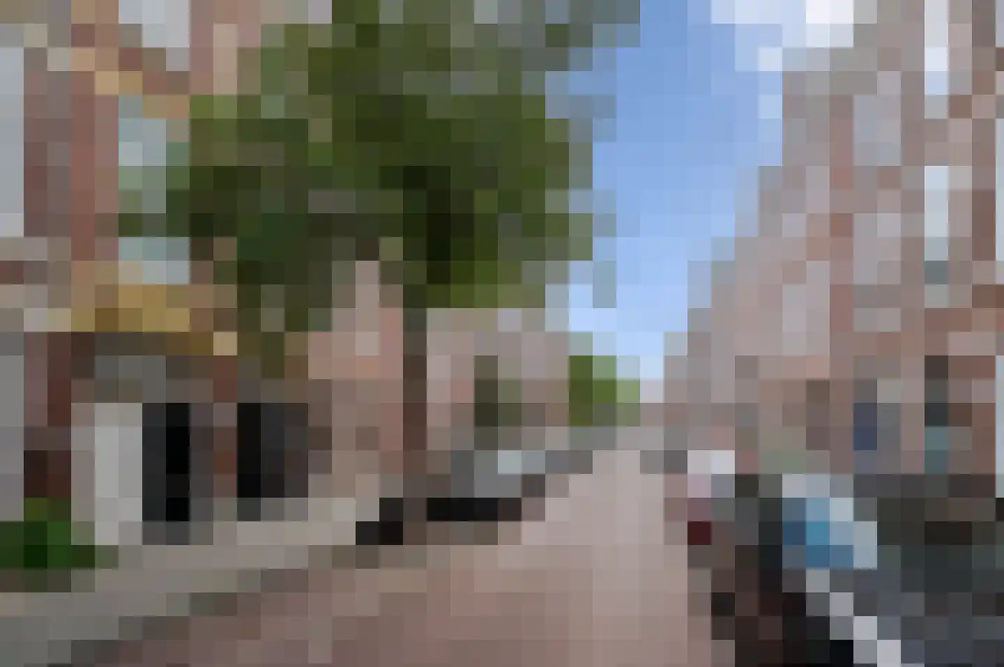 Obrechtstraat 347 Den Haag thumbnail 32