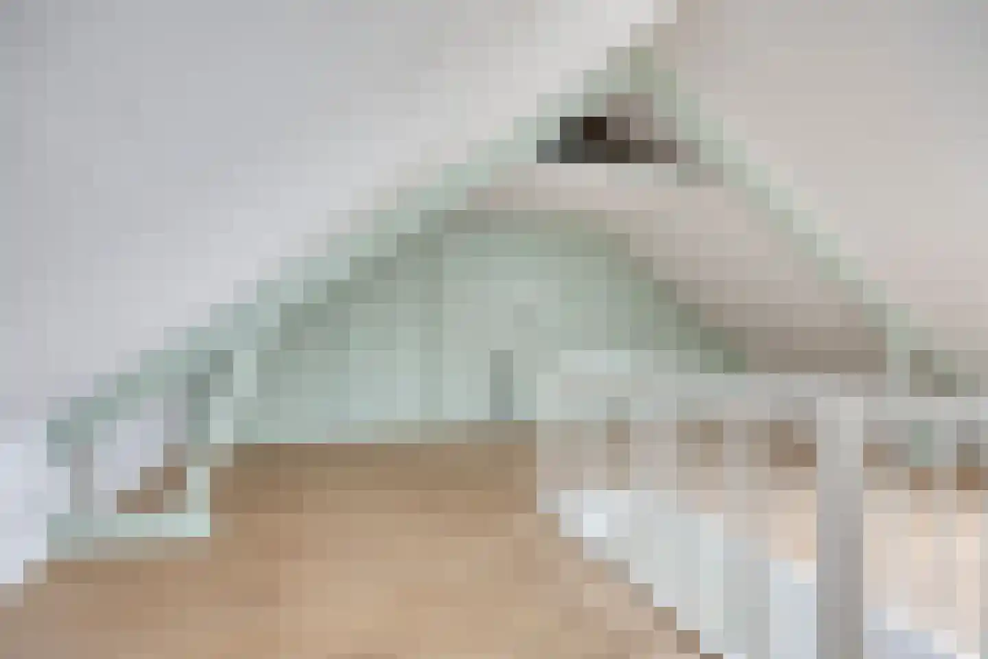 Obrechtstraat 35 Tilburg thumbnail 36