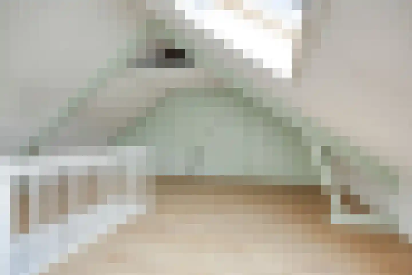 Obrechtstraat 35 Tilburg thumbnail 37