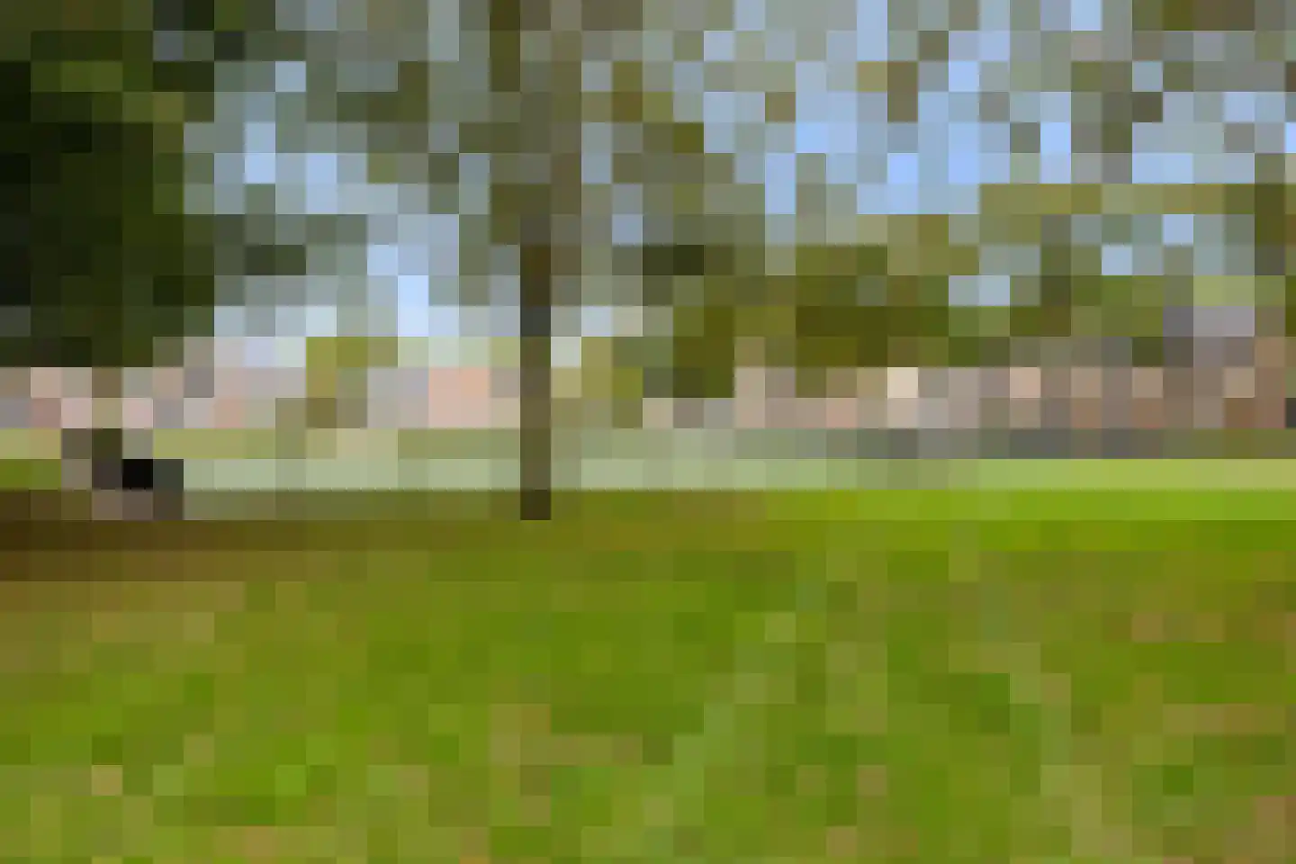 Obrechtstraat 35 Tilburg thumbnail 47