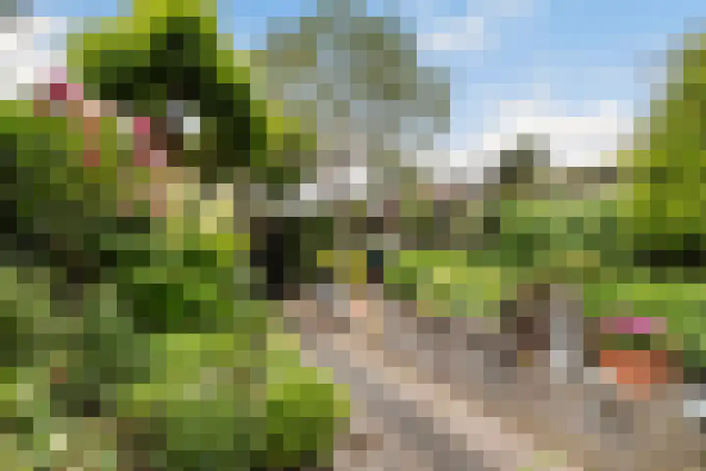 Obrechtstraat 35 Zwijndrecht thumbnail 27