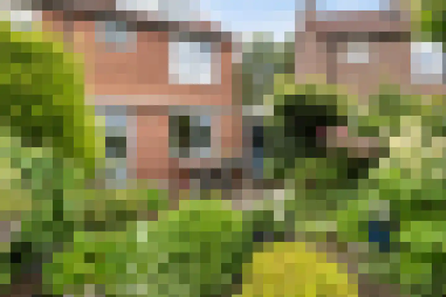 Obrechtstraat 35 Zwijndrecht thumbnail 33