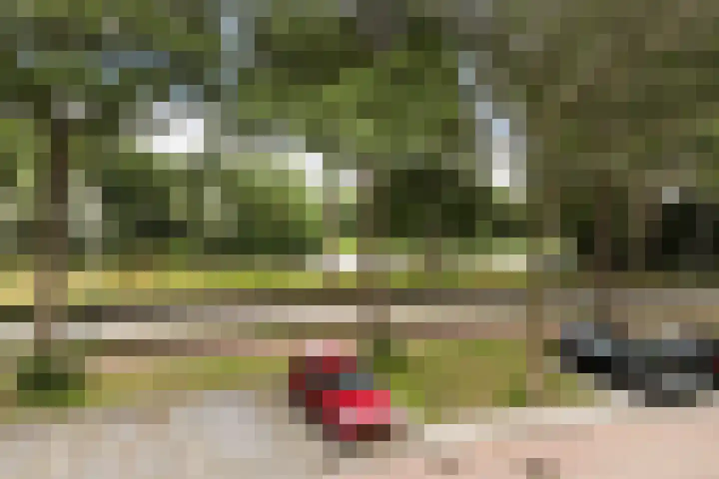 Obrechtstraat 35 Zwijndrecht thumbnail 4