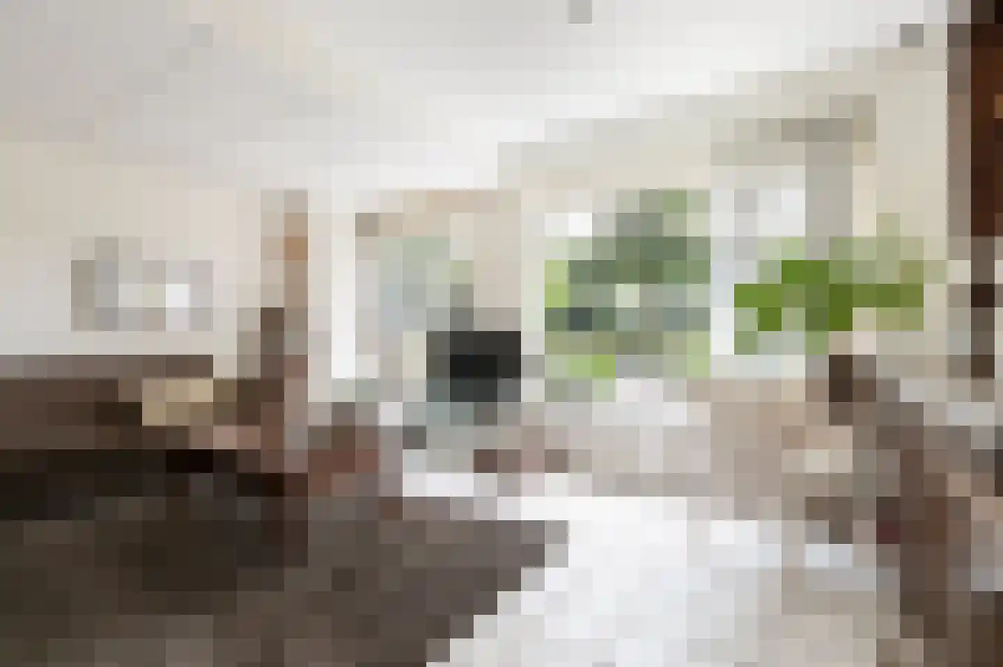 Obrechtstraat 35 Zwijndrecht thumbnail 6