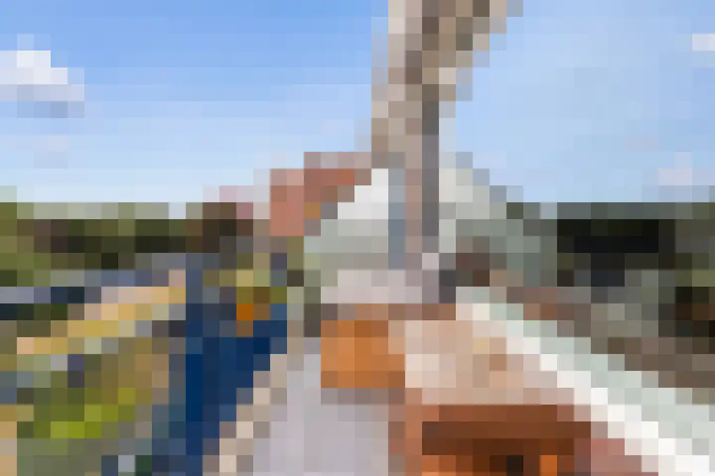 Obrechtstraat 365 Zwolle thumbnail 12