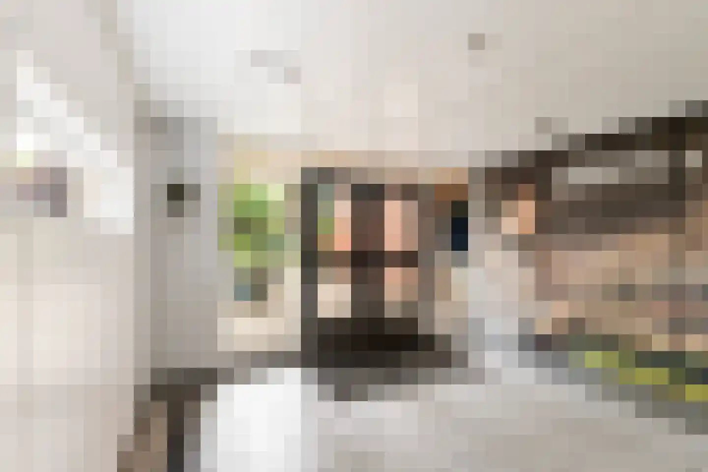 Obrechtstraat 365 Zwolle thumbnail 27