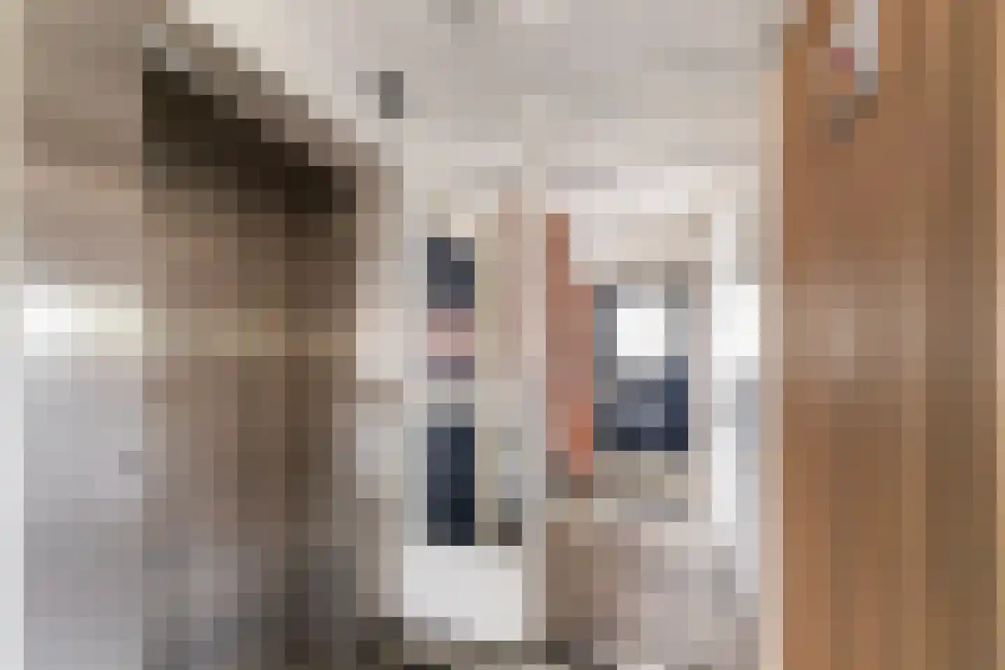 Obrechtstraat 365 Zwolle thumbnail 28