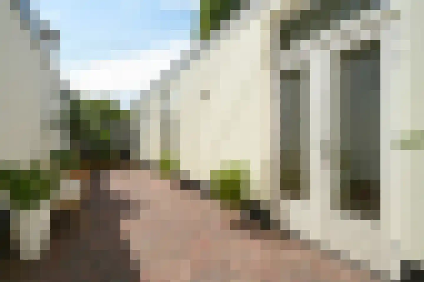 Obrechtstraat 366 Den Haag thumbnail 5
