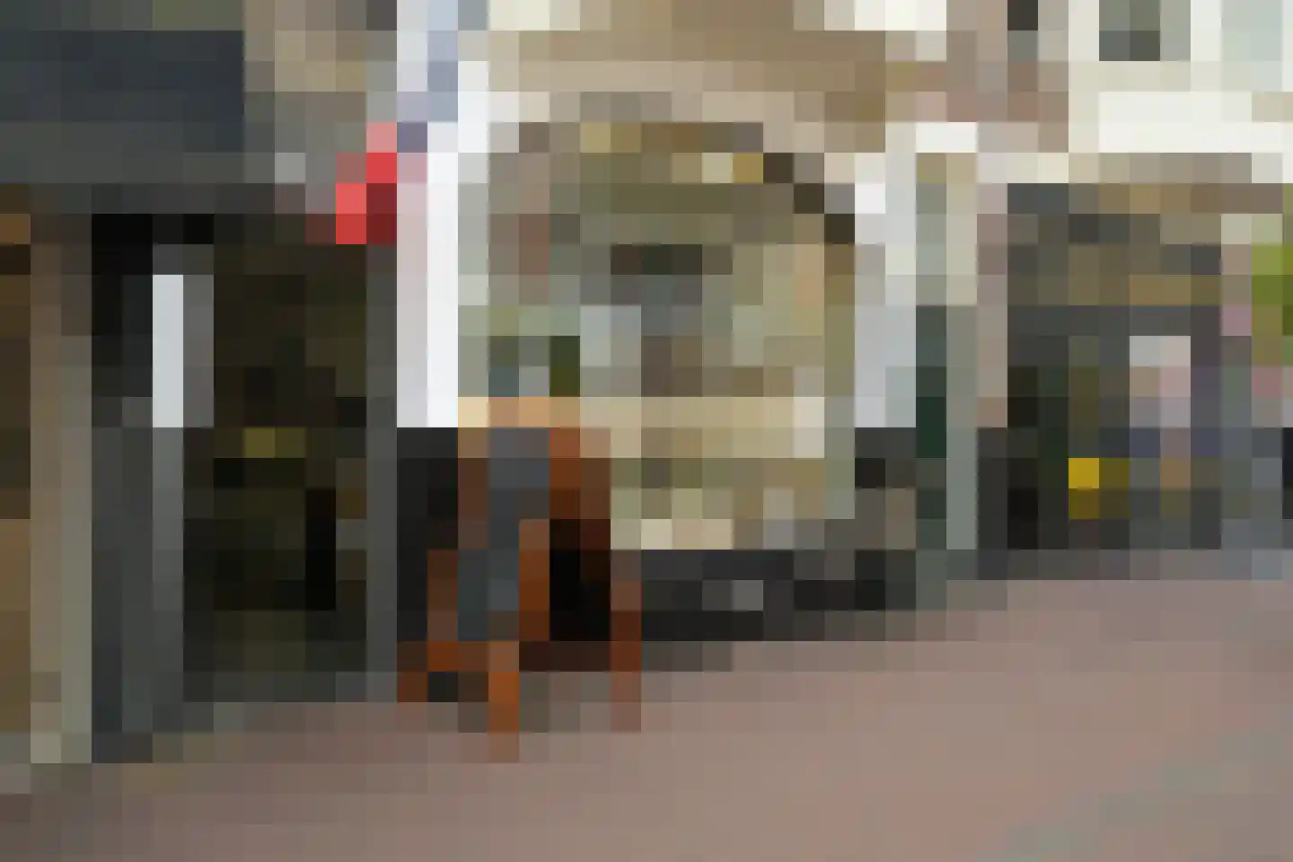 Obrechtstraat 366 Den Haag thumbnail 55