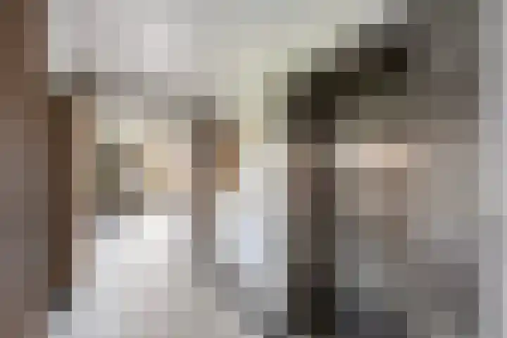 Obrechtstraat 375 Zwolle thumbnail 4