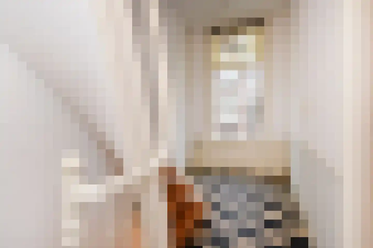 Obrechtstraat 38 Den Haag thumbnail 6