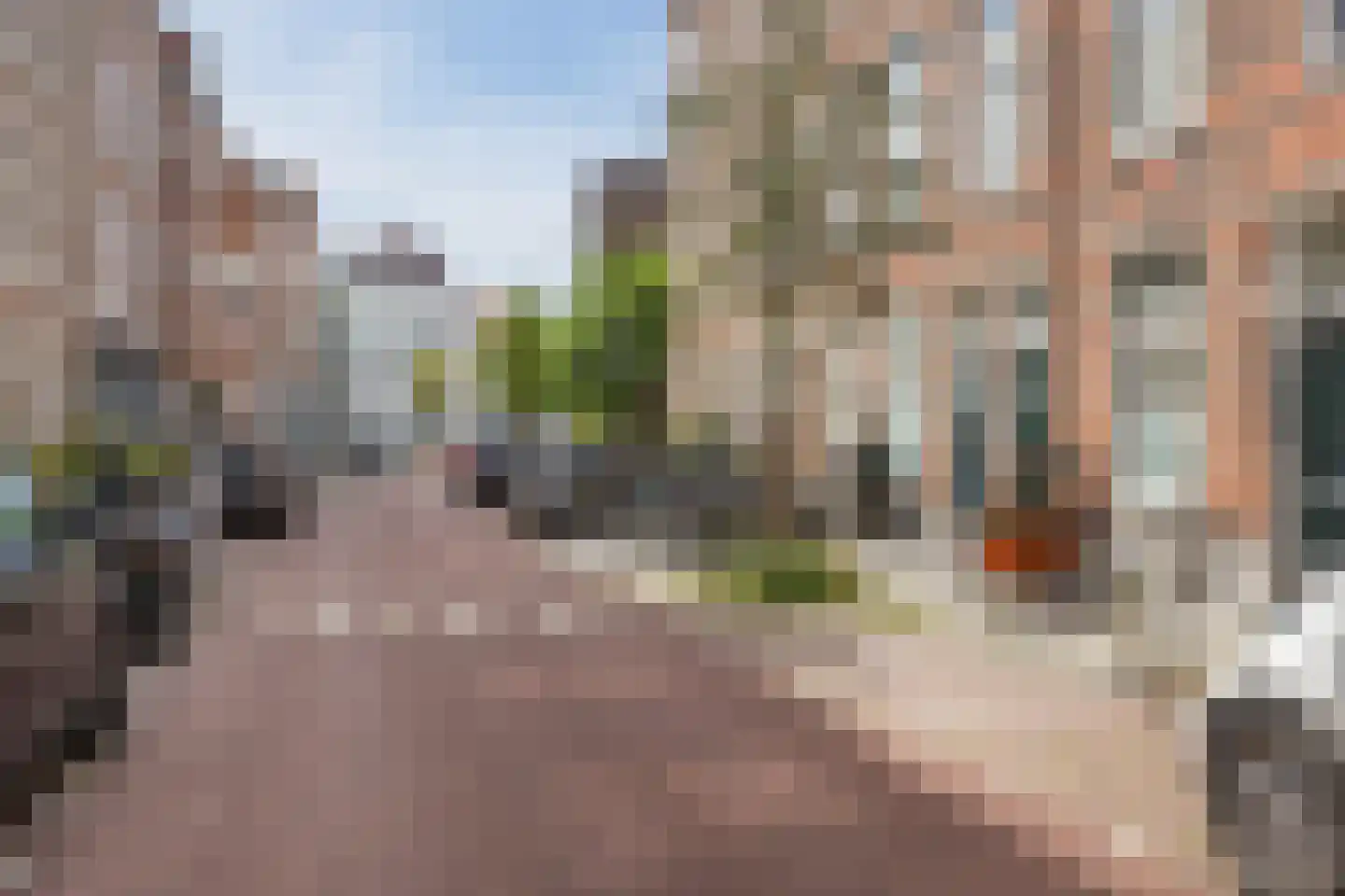 Obrechtstraat 390 Den Haag thumbnail 43