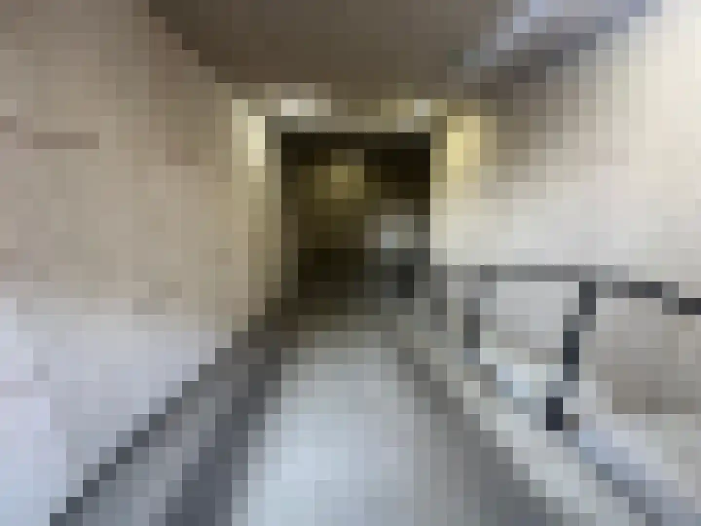 Obrechtstraat 399 A Den Haag thumbnail 7