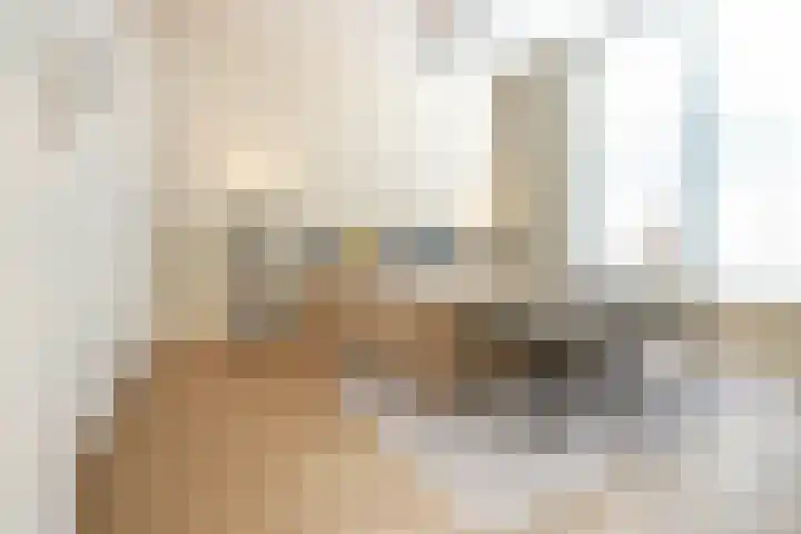 Obrechtstraat 405 Den Haag thumbnail 19