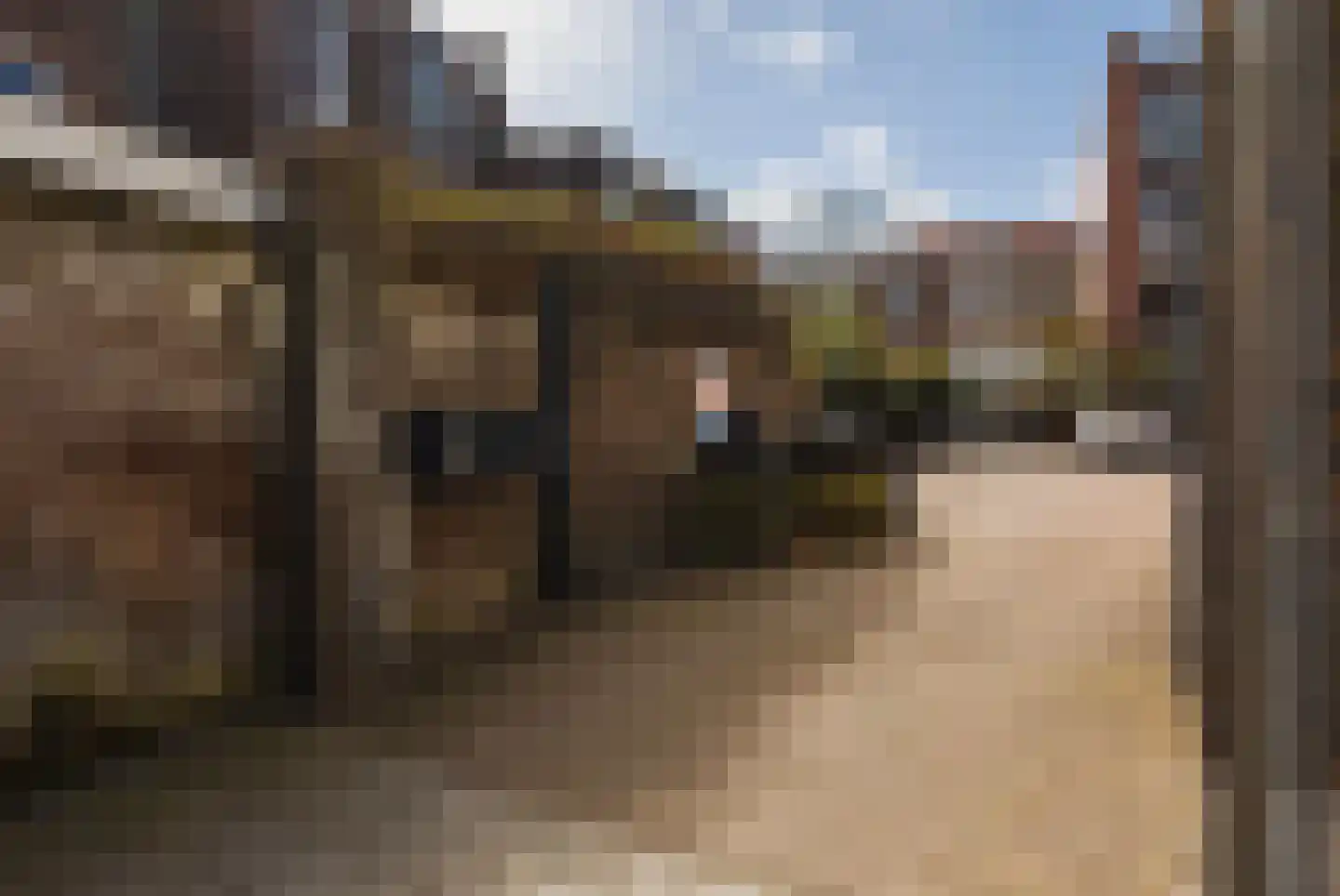 Obrechtstraat 417 Den Haag thumbnail 6