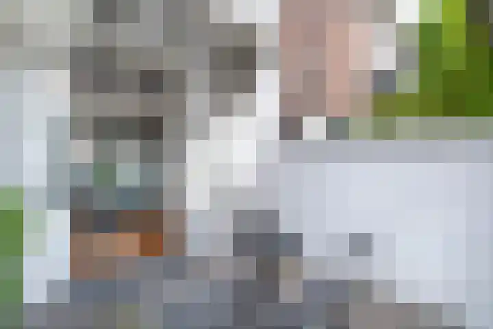 Obrechtstraat 45 Utrecht thumbnail 15