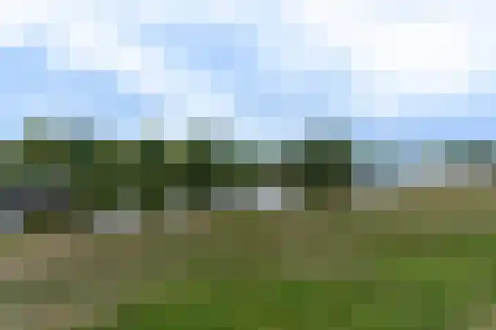 Obrechtstraat 45 Utrecht thumbnail 33