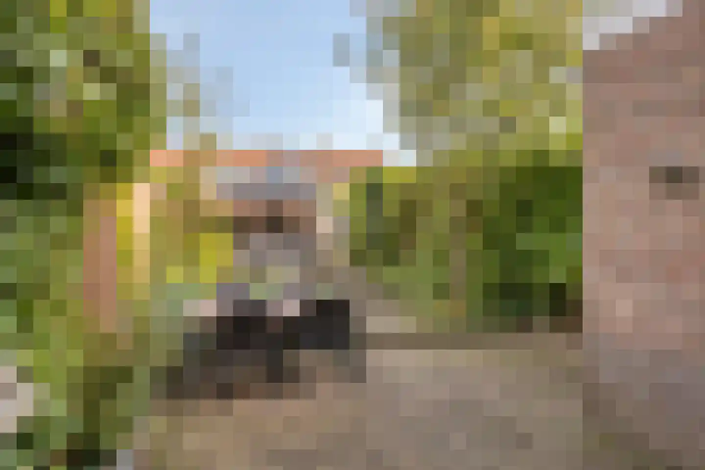 Obrechtstraat 46 Arnhem thumbnail 25