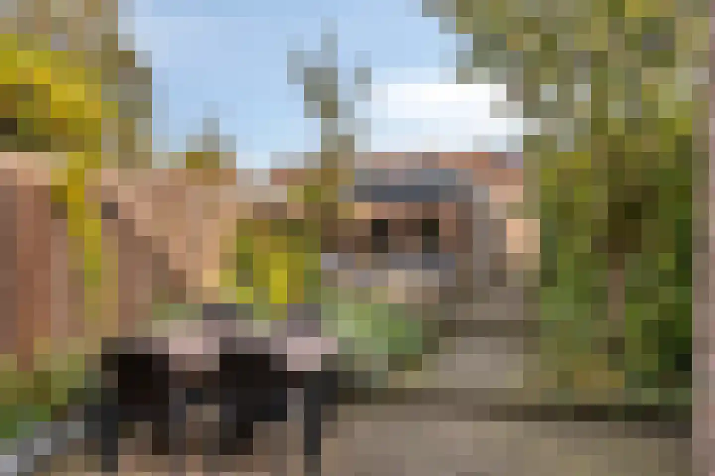 Obrechtstraat 46 Arnhem thumbnail 27