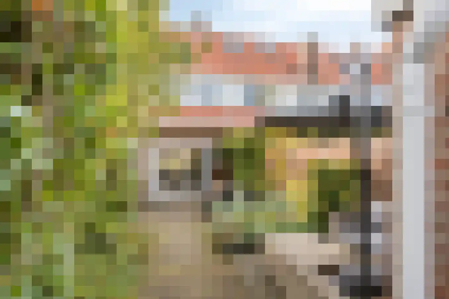 Obrechtstraat 46 Arnhem thumbnail 30