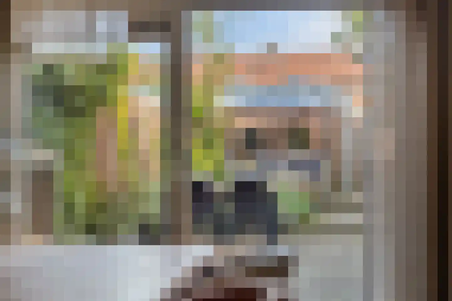Obrechtstraat 46 Arnhem thumbnail 5
